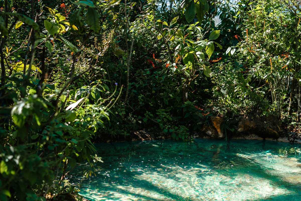 Kikuletwa (Chemka) Hot Springs Day Trip